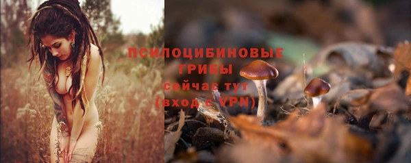 каннабис Баксан